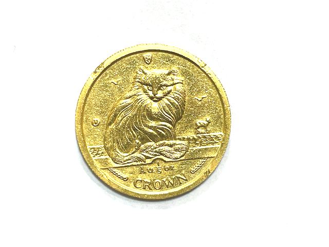 4. どんな金貨でも歓迎!